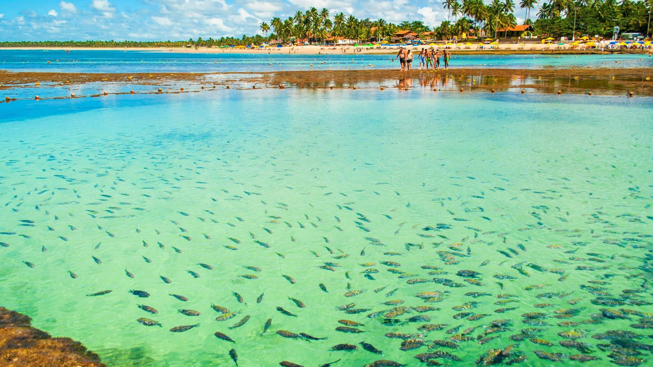 Porto de Galinhas: O Paraíso Pernambucano que Você Precisa Conhecer