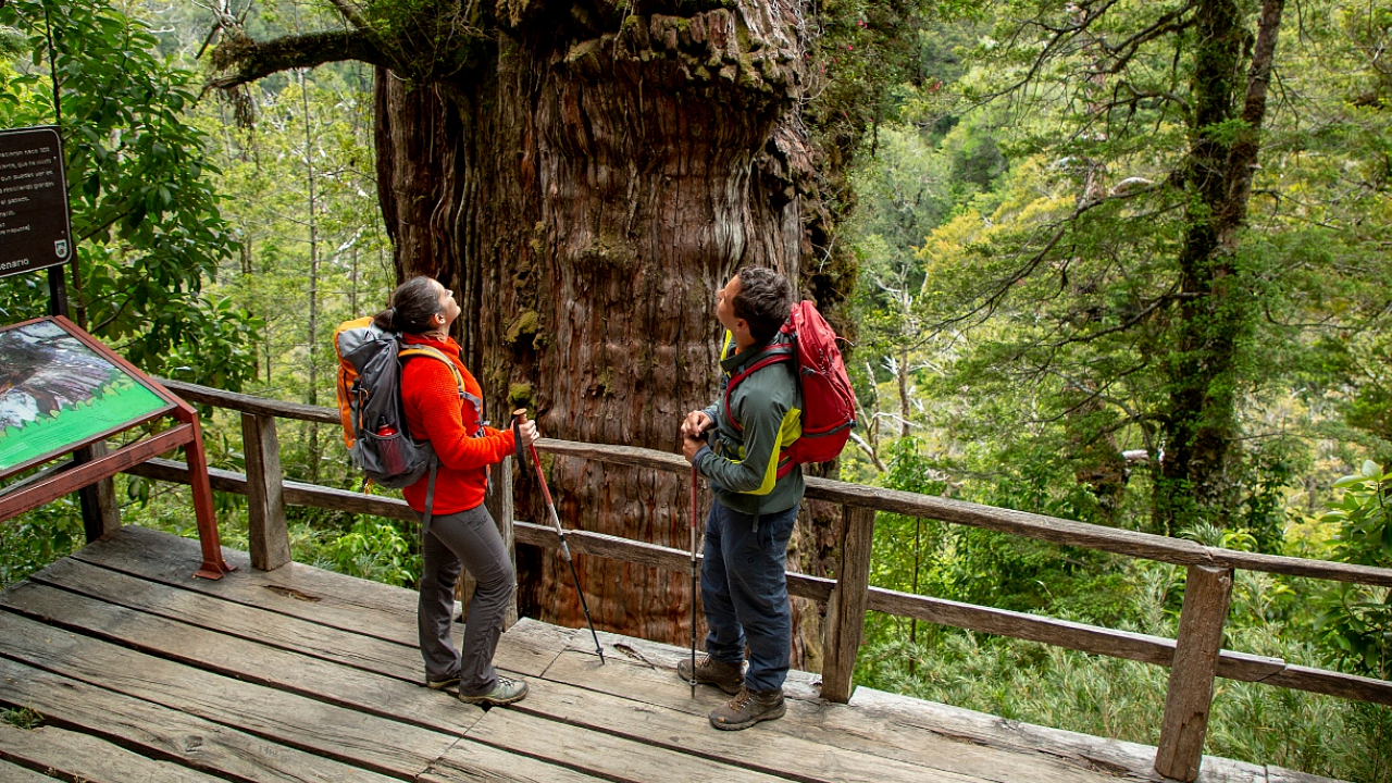 Viagem de Aventura no Chile: Trekking, Desertos e Vulcões