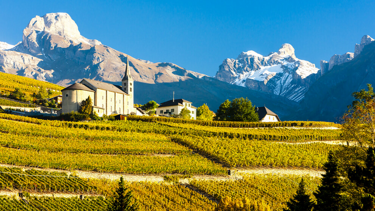 Explorando as Melhores Vinícolas da França