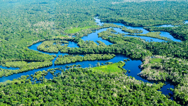 As Maravilhas da Amazônia: Dicas e Atrações para Explorar a Maior Floresta Tropical do Mundo