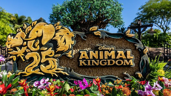 Roteiro Completo para o Animal Kingdom: Uma Aventura Selvagem